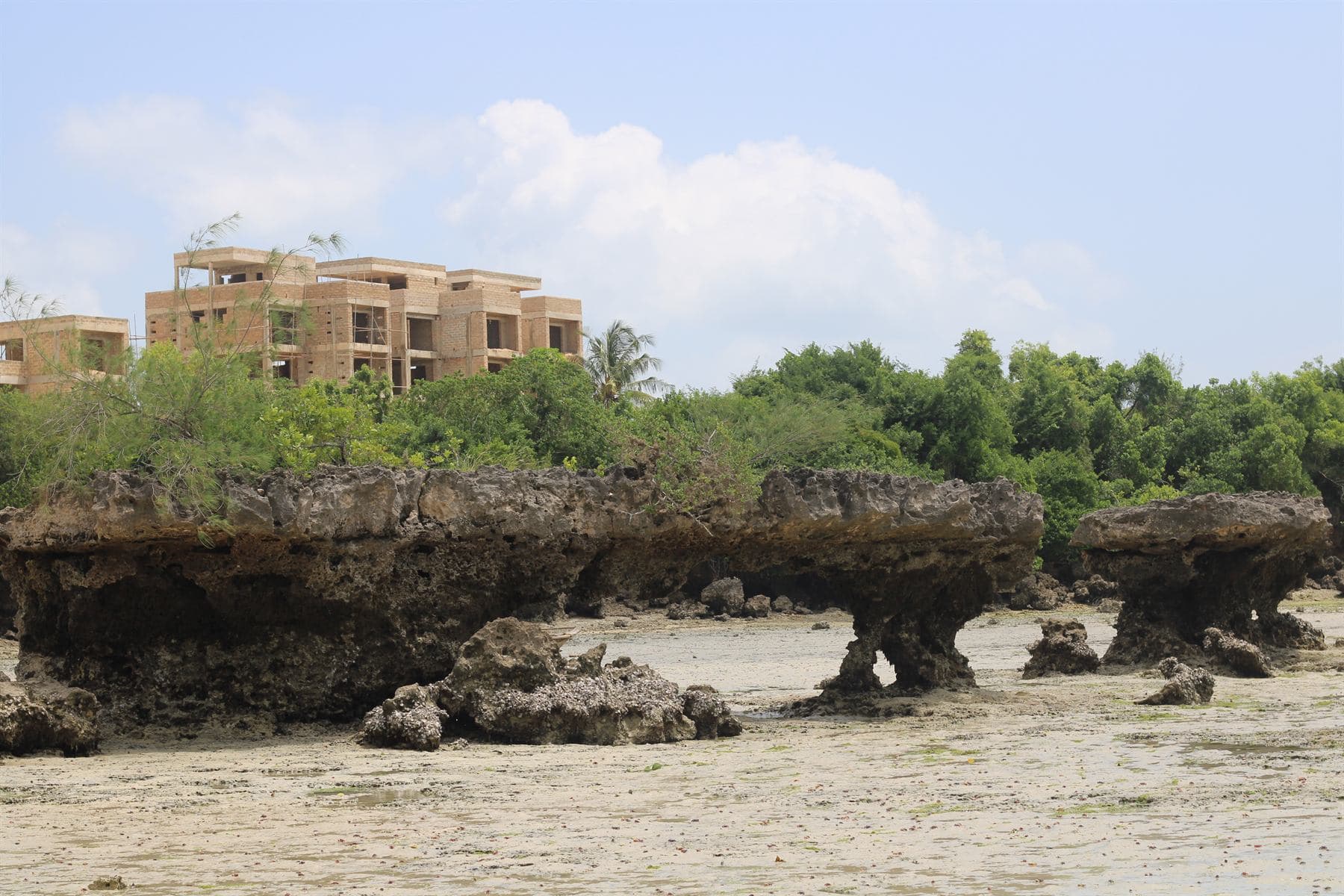 Mushroom-shaped outcrops of old coral rock standing on wet sand at low tide, green scrub on top of them and an unfinished concrete building above the treeline.
